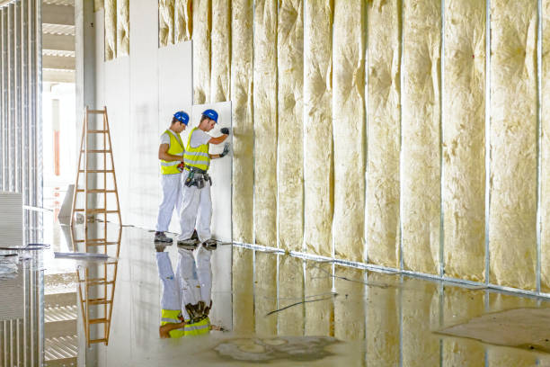 Best Insulation Materials and Products in Carolina Beach, NC